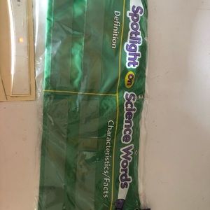 Spot Light On Science Words Pocket Chart